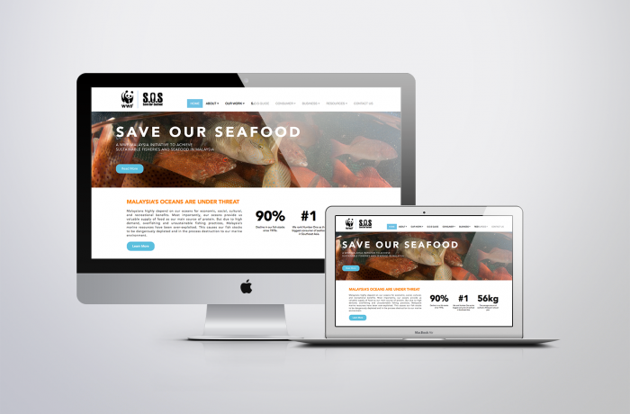 ssmy web